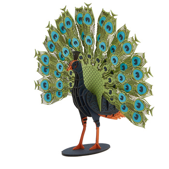 BUM BUM Puzzle 3D Paw